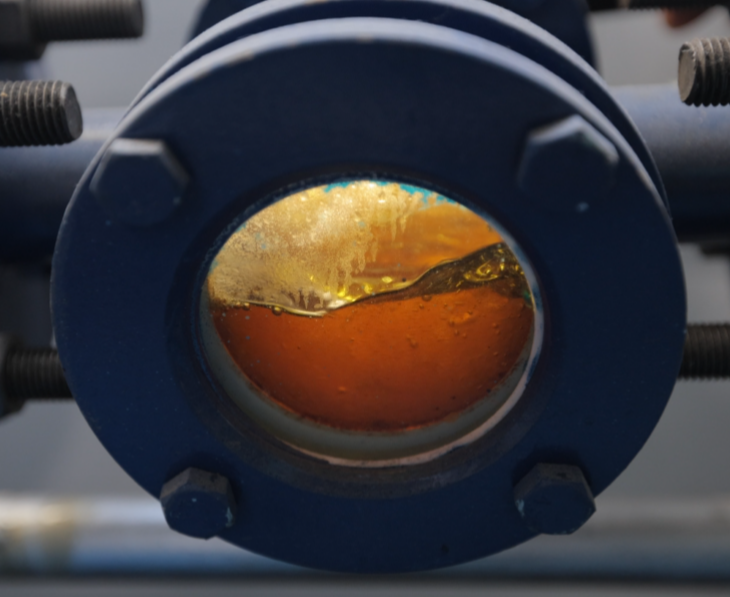 Refining technology for processing animal fats into high-purity oils